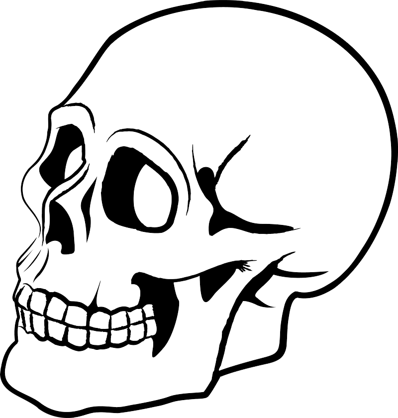 Dibujo De Un Craneo Para Colorear Clipart (800x840), Png Download
