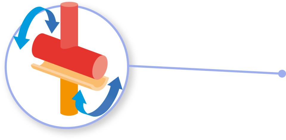 Joints In Human Body Types Of Dk - Hinge Joint Clipart (960x470), Png Download