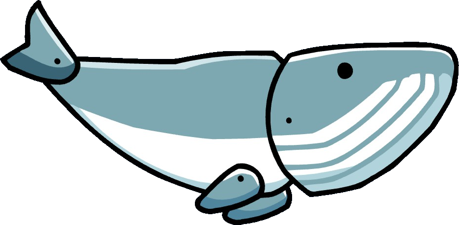 Whale Calf Clipart (935x458), Png Download