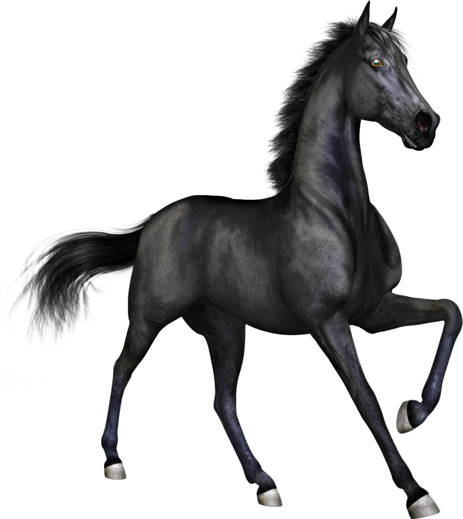 Black Horse Clipart - Png Download (912x1024), Png Download