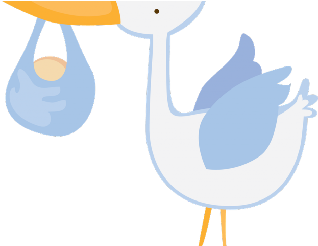 Stork Clipart Baby Transparent Background - Infant - Png Download (640x480), Png Download