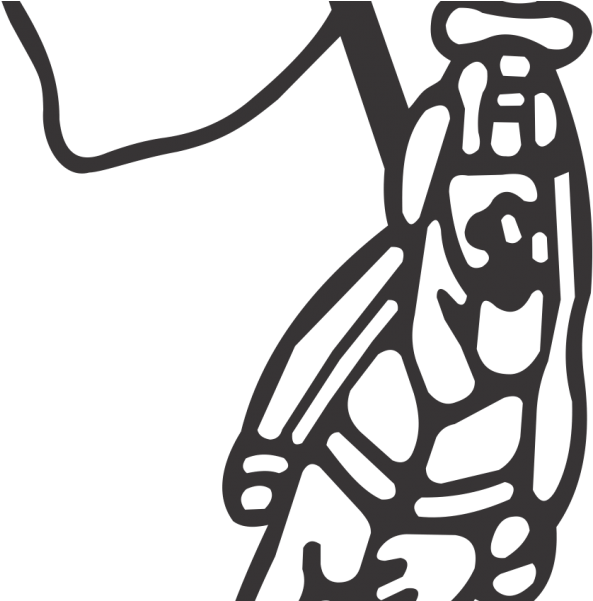 Ambassador - Leather Jacket Clipart (600x600), Png Download