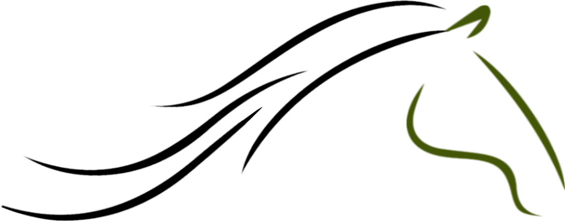 Horse Logo Png Sunglasses Clip Art No Background Beach - Horse Head Logo Png Transparent Png (1170x491), Png Download