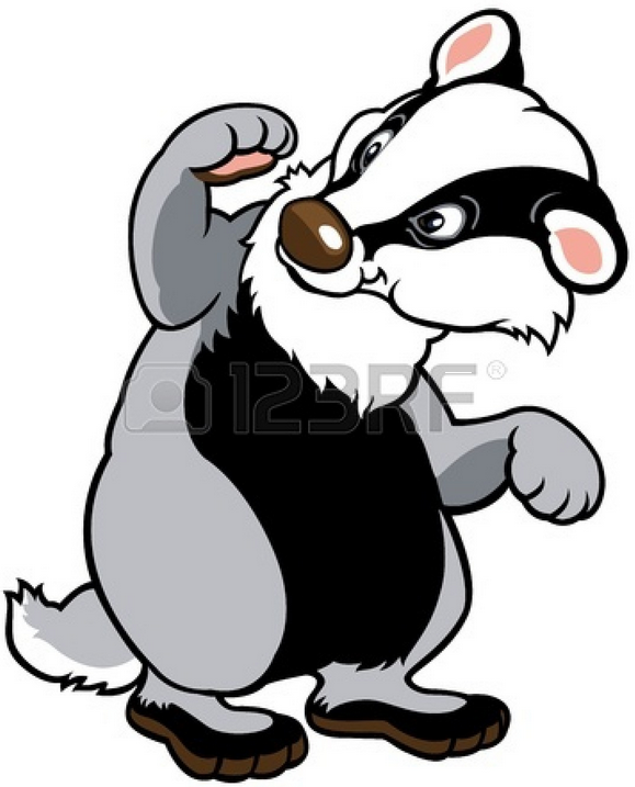 Cartoon Badger Clipart (579x717), Png Download