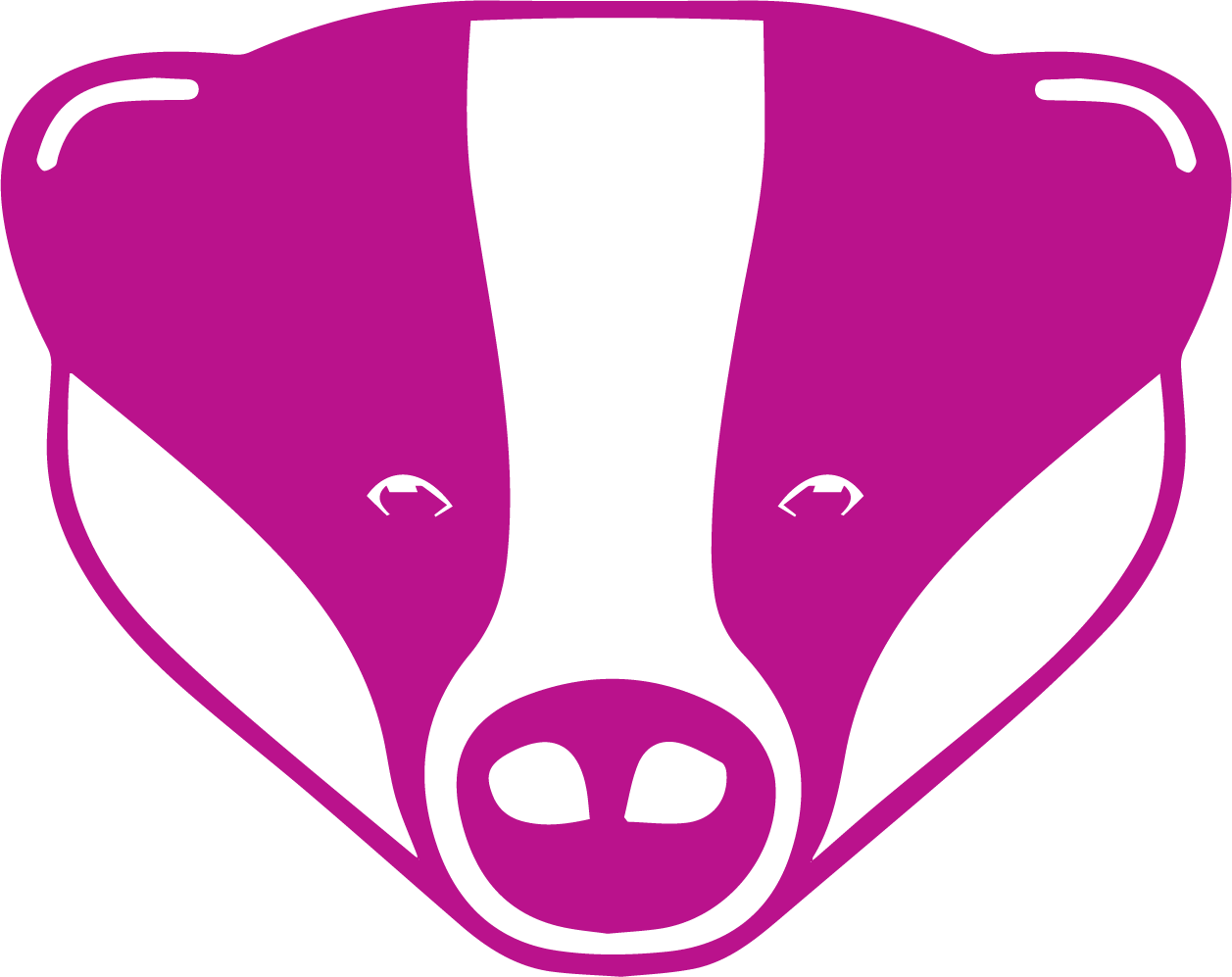 Badger Clipart (1257x997), Png Download