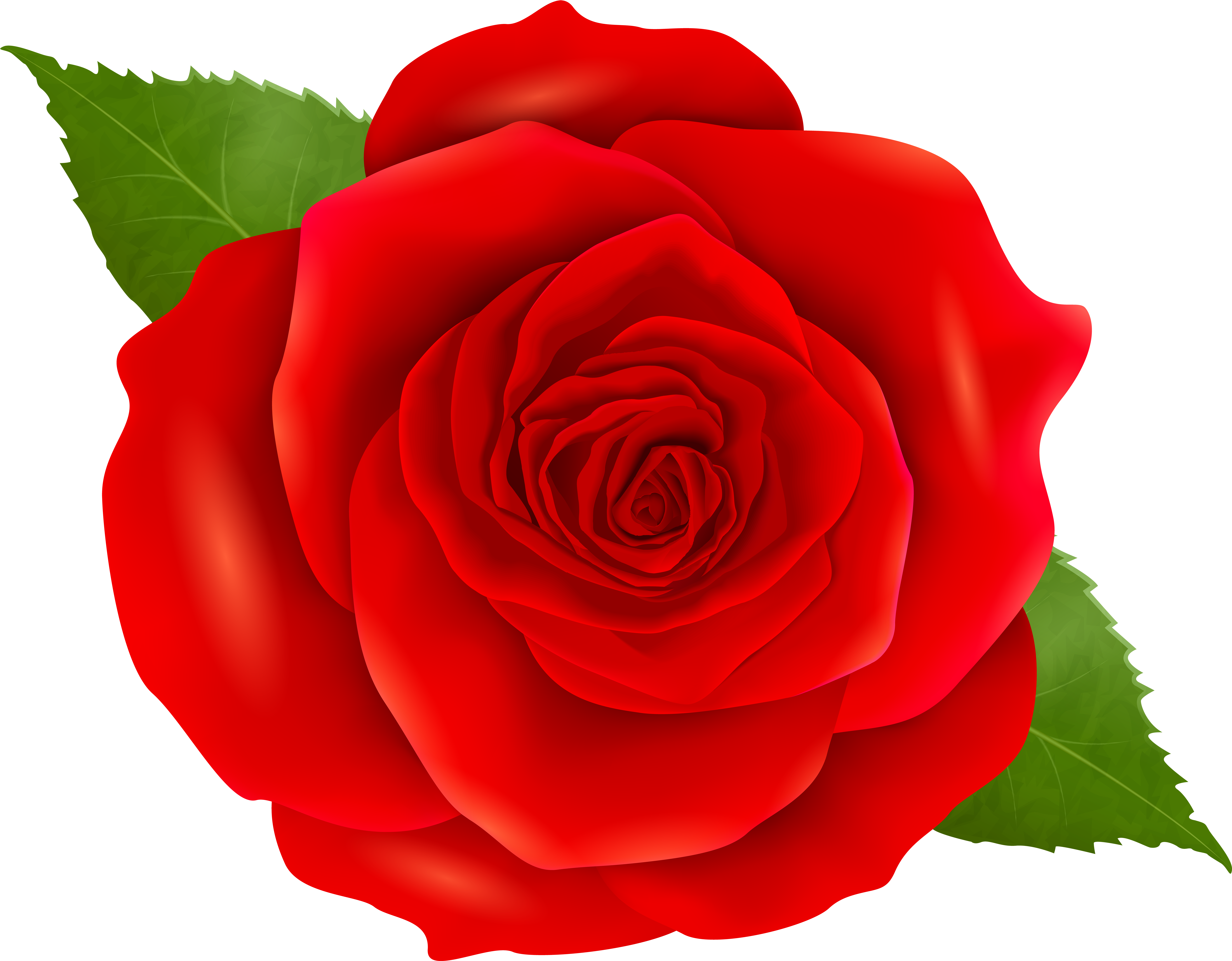 Rose Clipart Png Transparent Png (8000x6261), Png Download