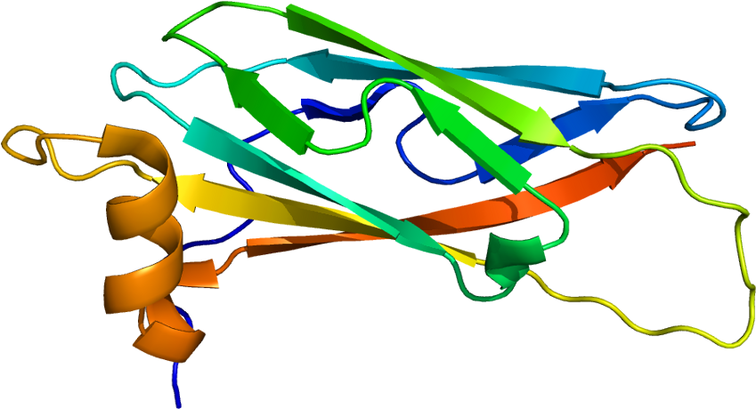 Protein Data Bank Clipart (898x509), Png Download