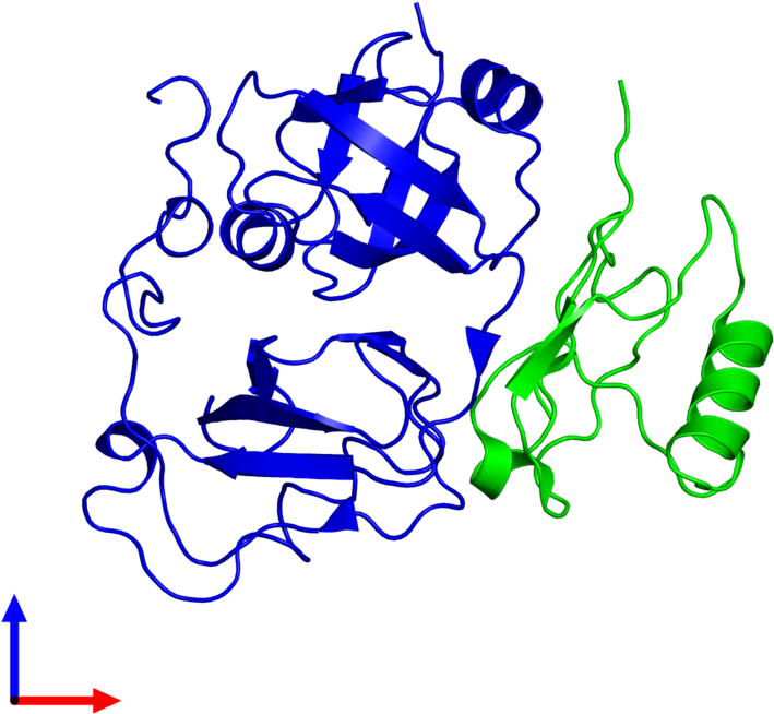 Graphic Design Clipart (800x800), Png Download