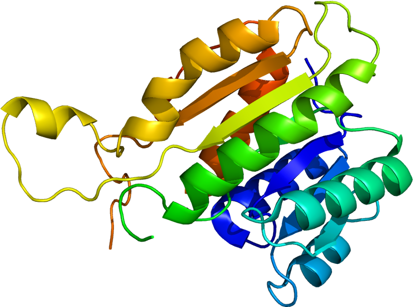 Protein Structure Icon Clipart (891x676), Png Download