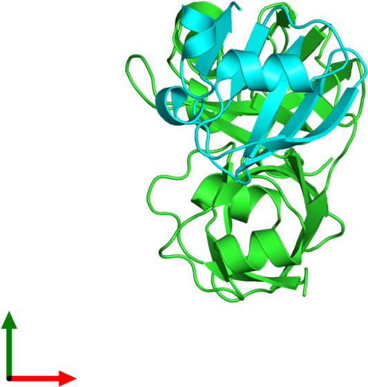 Illustration Clipart (800x800), Png Download