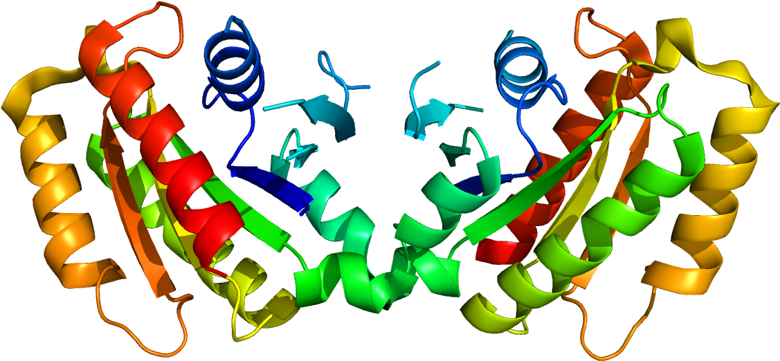 Lrrk2 Protein Clipart (1200x1000), Png Download