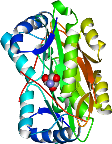 Molmil Generated Image Of 5jtf Clipart (768x768), Png Download