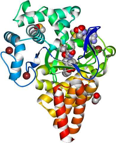 Illustration Clipart (768x768), Png Download