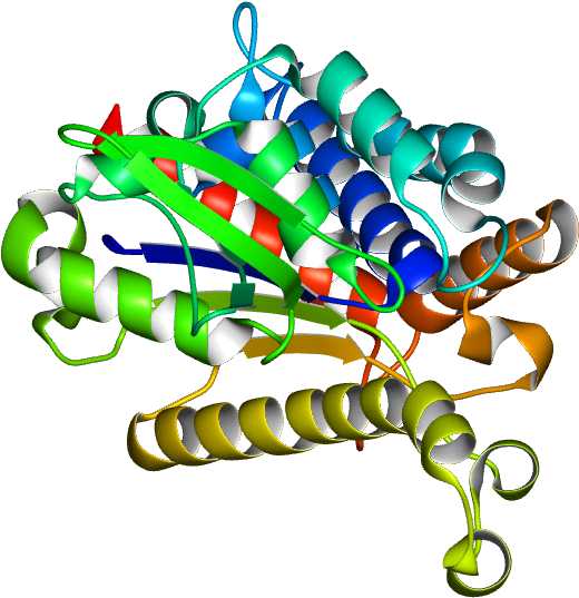 No Rotation Molmil Generated Image Of 4pka Clipart (768x768), Png Download