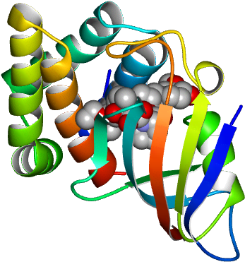 Molmil Generated Image Of 2fap - Graphic Design Clipart (768x768), Png Download