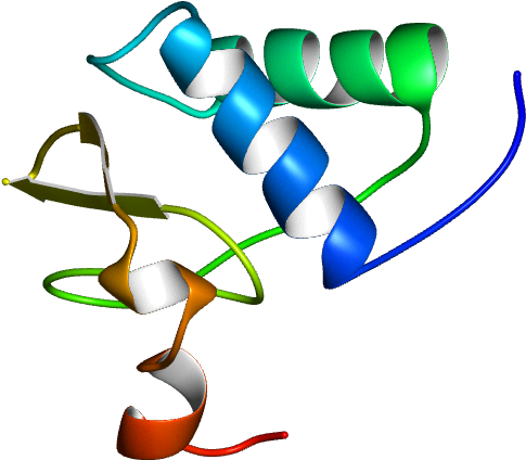 Molmil Generated Image Of 1avv - Graphic Design Clipart (768x768), Png Download