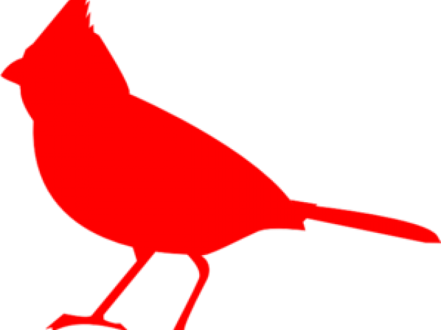 Cute Cardinal Cliparts - Cardinal Clipart - Png Download (640x480), Png Download