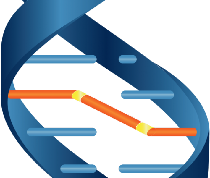 What Makes It Unique - The Intercept Clipart (1000x601), Png Download