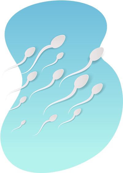 Illustration Clipart (551x582), Png Download