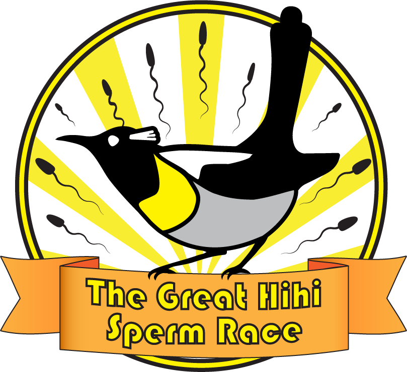 Betting On Bird Sperm In A Race To Help Hihi - Stitchbird Clipart (809x741), Png Download