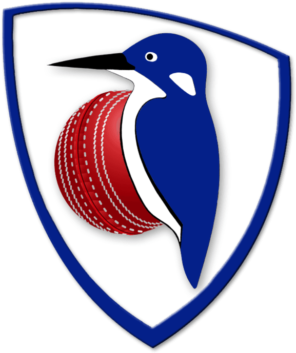 Cricket Clipart Cricket Coach - Cricket - Png Download (640x700), Png Download