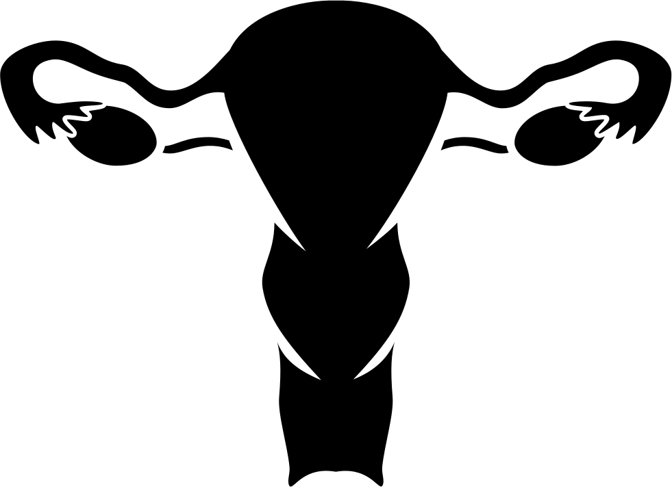 Nfm Vaginal Bleeding Comments - Reproductive System Female Png Clipart (981x712), Png Download