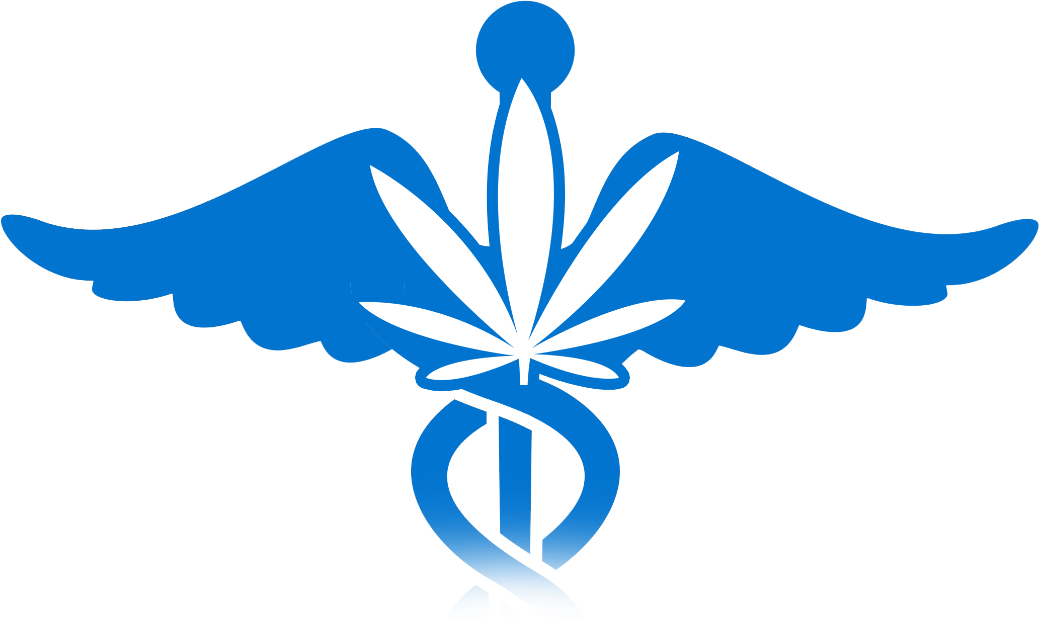 Medicinal Clipart Nursing Symbol - Physician - Png Download (2190x1271), Png Download