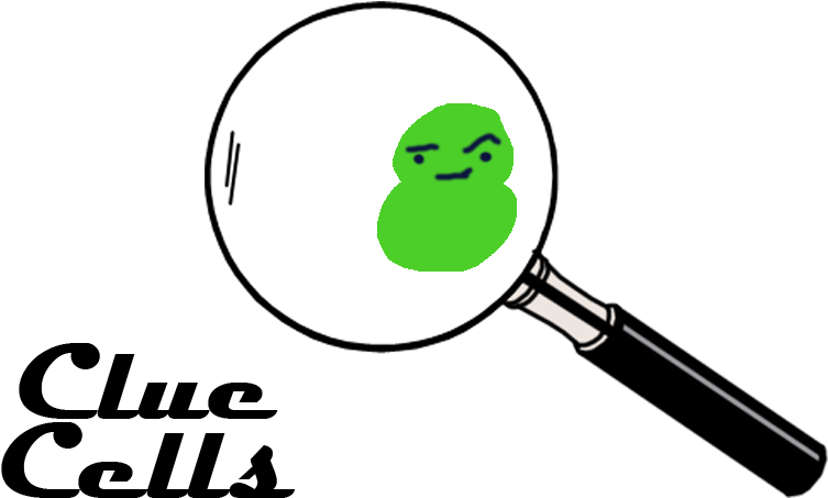 We Explain What A Clue Cell Is In A Vaginal Swab - Transparent Magnifying Glass Clipart - Png Download (800x500), Png Download