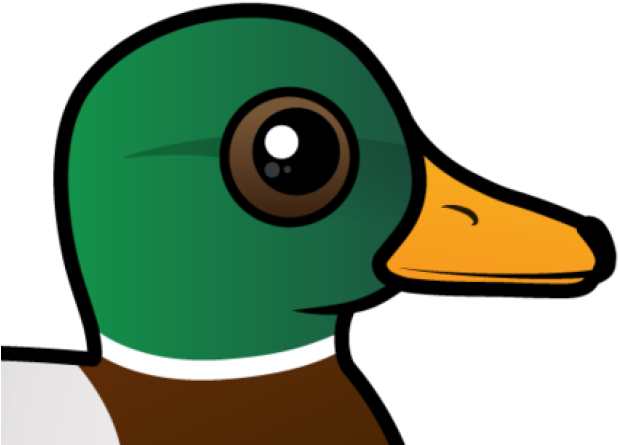 Mallard Clipart Eend - Mallard Birdorable - Png Download (640x480), Png Download