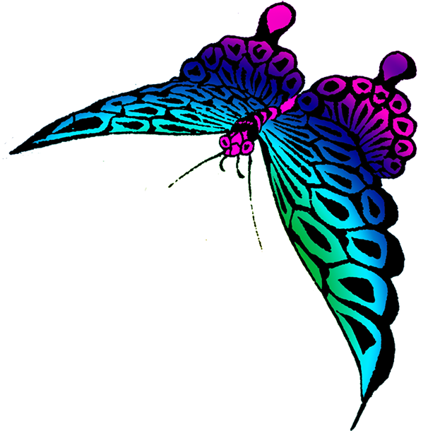 Strange Colored Butterfly Image - Many Colorful Butterfly Transparent Clipart (645x650), Png Download