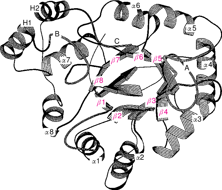 A Common Three-dimensional Fold For The Akrs The Ribbon - Drawing Clipart (734x627), Png Download