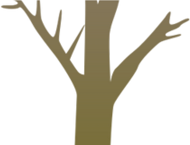 Stump Clipart Tree Trunk - Tree Trunk Drawing Png Transparent Png (640x480), Png Download