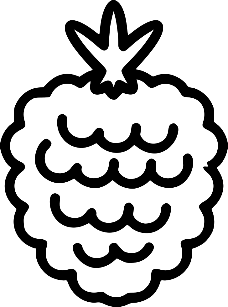 Raspberry Berry Comments - Berry Clipart (728x980), Png Download