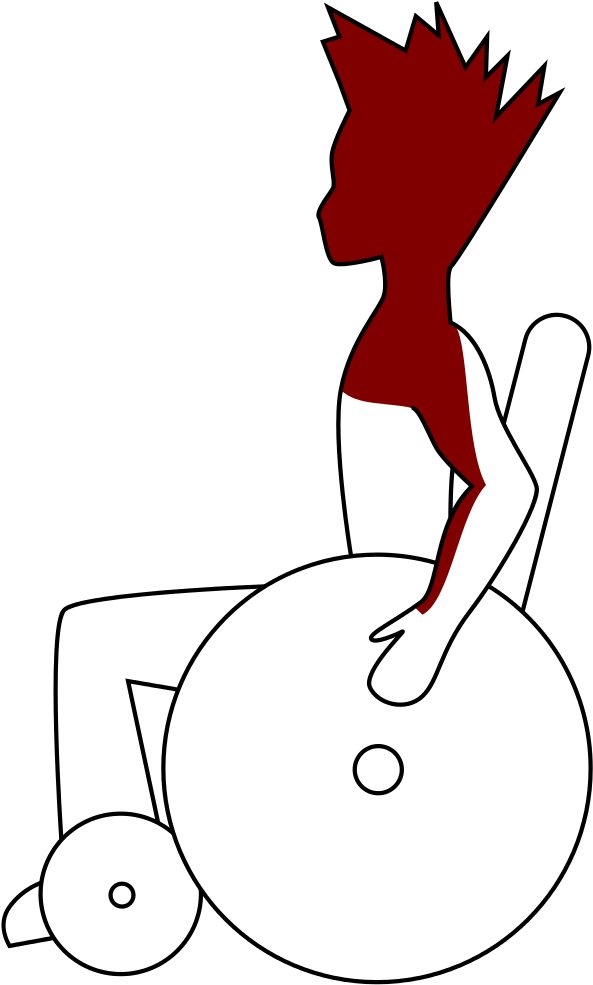 Wheelchair Rugby Profile Classification C5 - Visualization Clipart (658x1024), Png Download