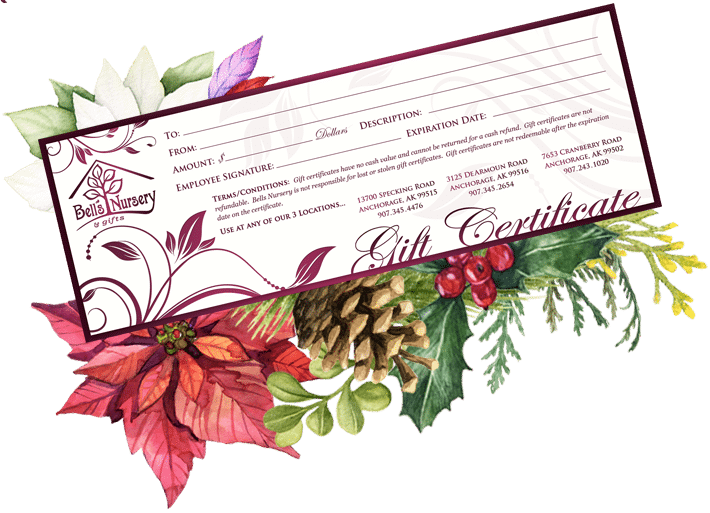 Gift Certificate - - Canadian Thanksgiving Clipart (710x513), Png Download