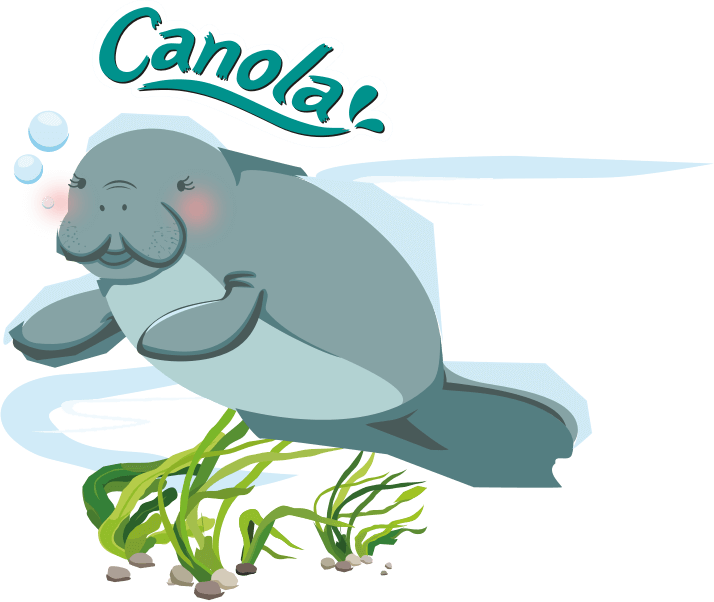 404image - Wildlife Reserves Singapore Clipart (714x602), Png Download