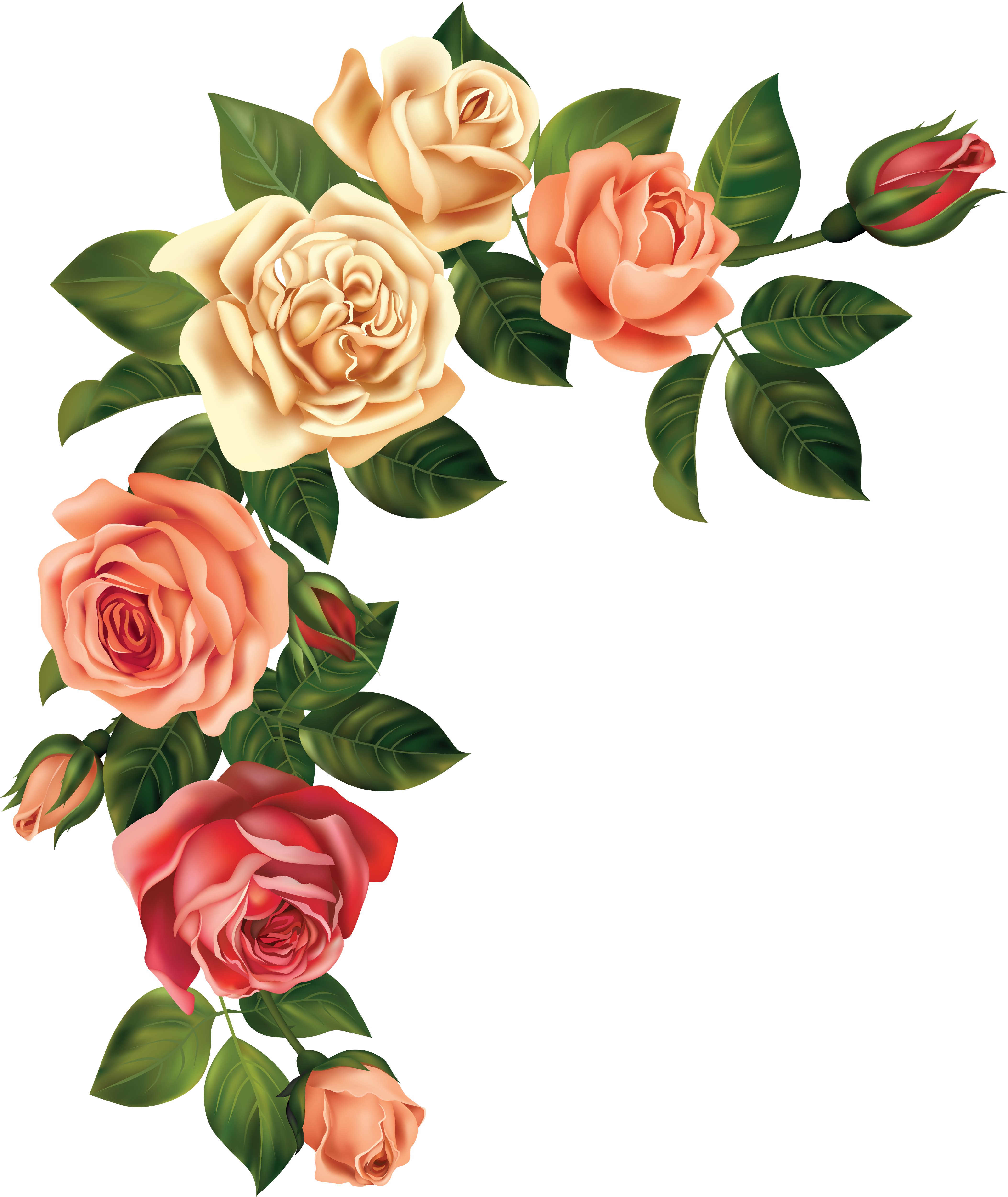 Love This In Place Of Angel Wings Clipart (4211x5000), Png Download