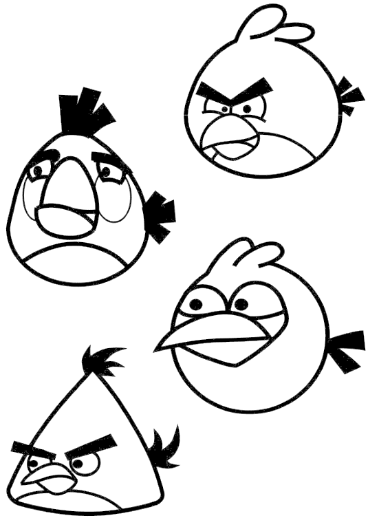 Bird Blue Jay Coloring Pages - Clip Art - Png Download (700x958), Png Download