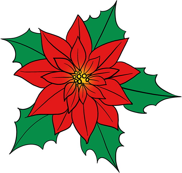 How To Draw Poinsettia - Drawing Of A Poinsettia Flower Clipart (680x678), Png Download