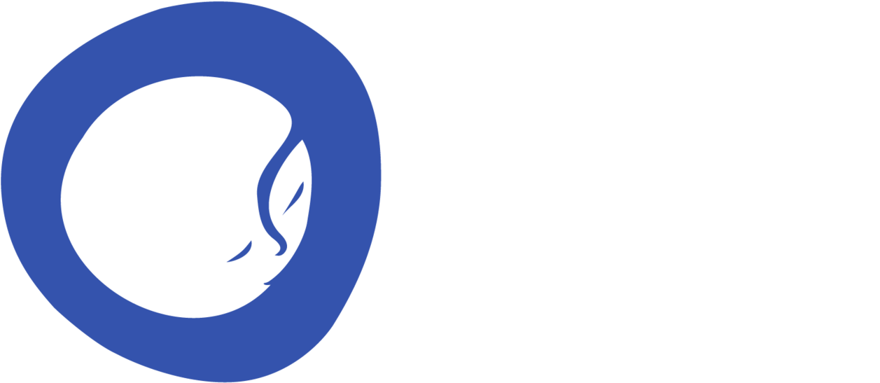 Journal Beyond Noah's Ark - Noah's Ark Clipart (1500x735), Png Download