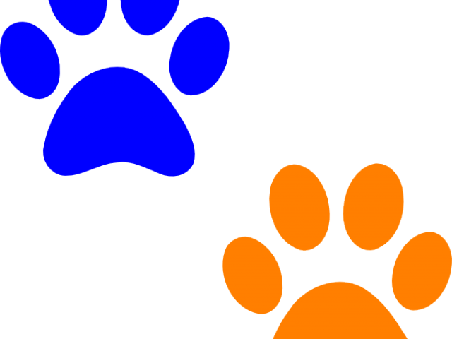 Well Clipart Paw Print - Small Orange Paw Print - Png Download (640x480), Png Download