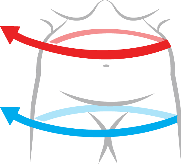 Inches - Indice Cintura Cadera Png Clipart (600x543), Png Download