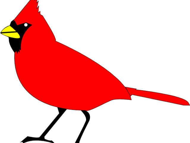 Blackbird Clipart Burung - Cardinal Clipart - Png Download (640x480), Png Download