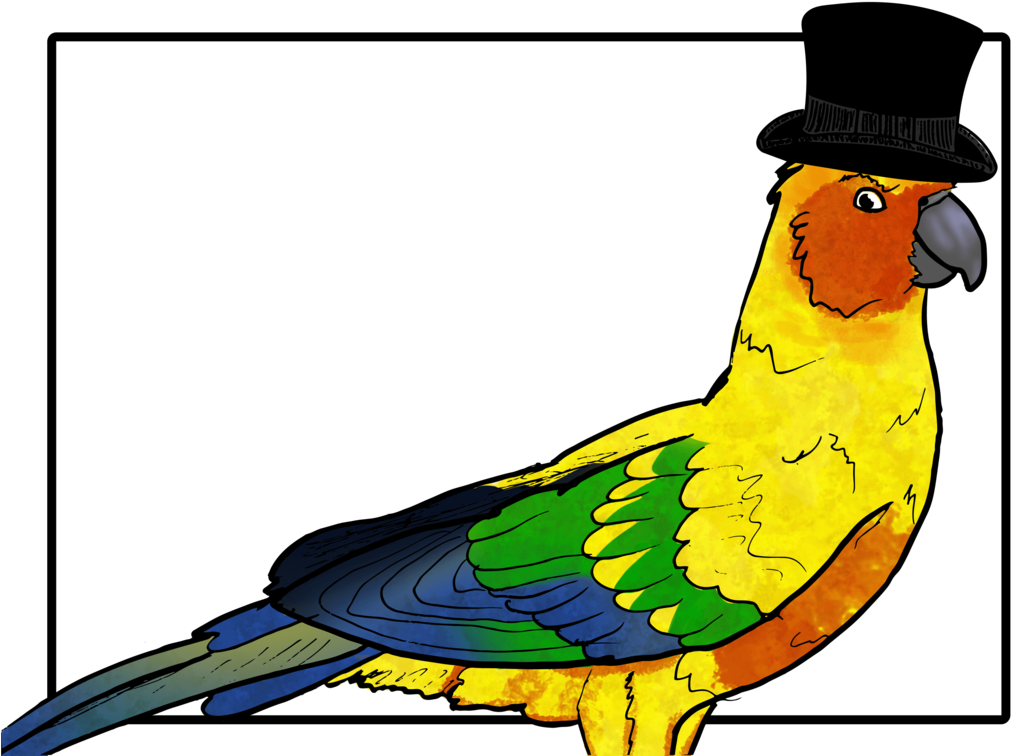 Image Black And White Download Birb Drawing Conure - Parakeet Clipart (1057x755), Png Download
