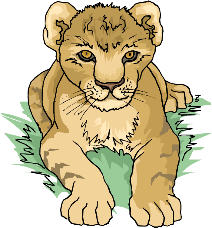 Cub Clipart Land Water Animal - Imagenes De Dibujos Tigres Y Leones - Png Download (748x750), Png Download