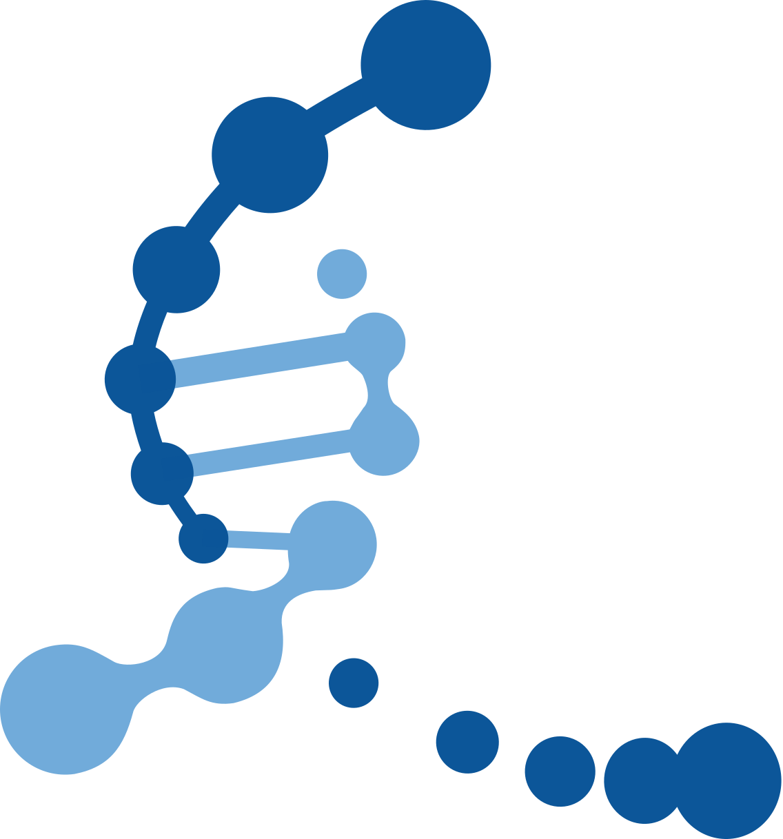 Recruiting New Talent To Pughlab Clipart (1136x1218), Png Download