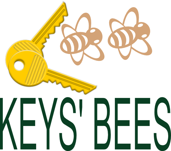 Keys Bees Clipart Has - Png Download (600x532), Png Download