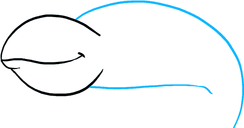 How To Draw Chameleon - Drawing Clipart (680x678), Png Download