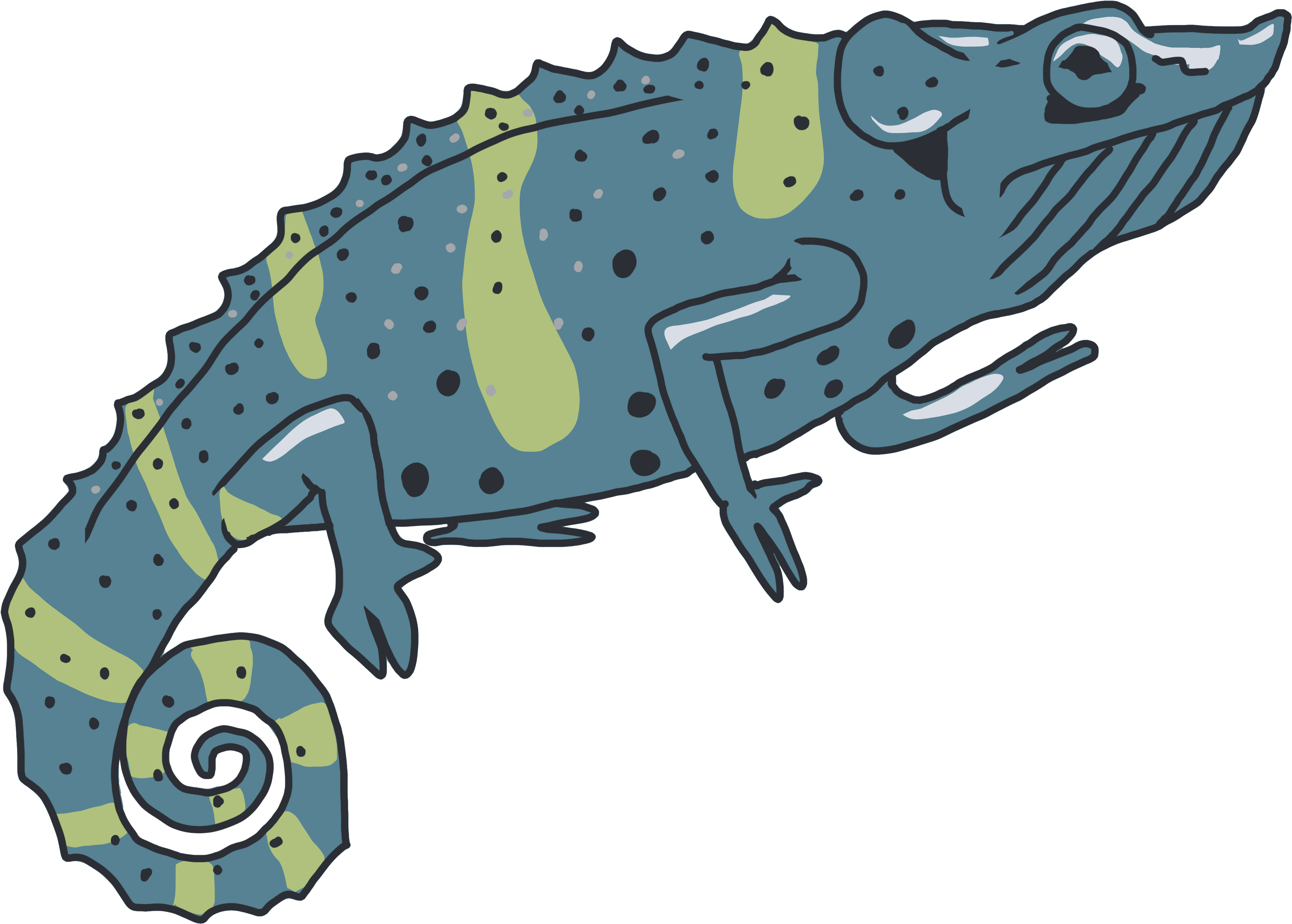 Mellers Chameleon - “ - Meller's Chameleon Clipart (4200x4200), Png Download
