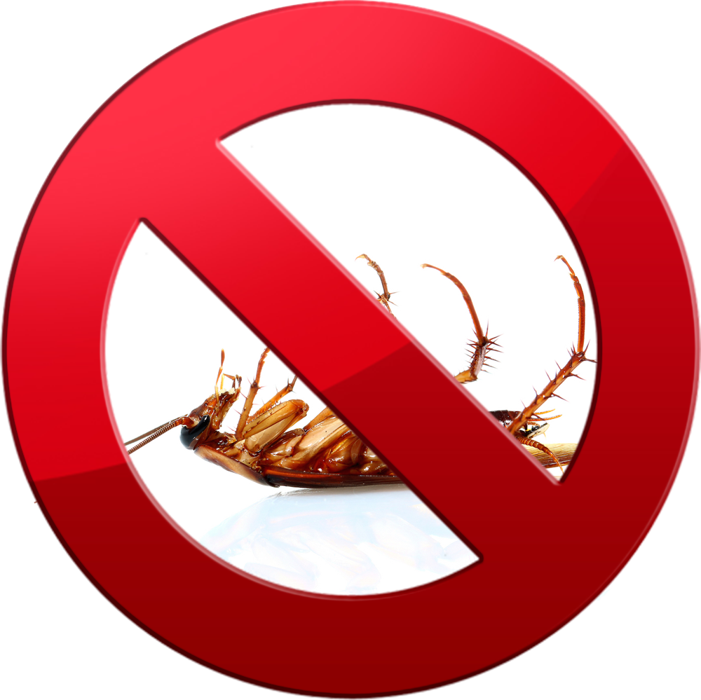 Cockroachcontrol - Cucaracha Muerta Patas Arriba Clipart (1000x999), Png Download